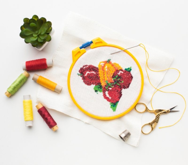 fruit-sewed-design-with-sewing-threads-plant